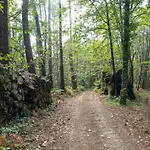 Vacation In Lacropte Near Woods
