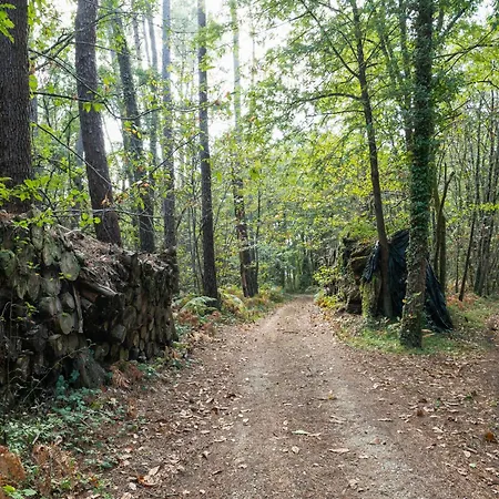 Tranquil Escape In Cendrieux